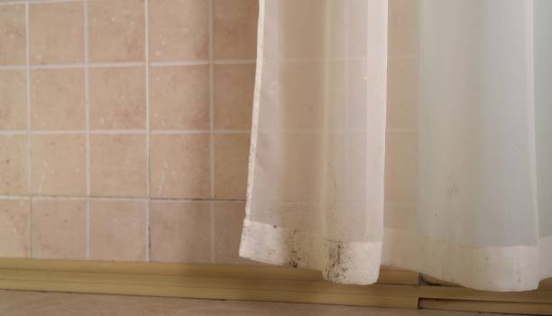 Mold Documentation for Insurance Claims in Rice Lake, MN