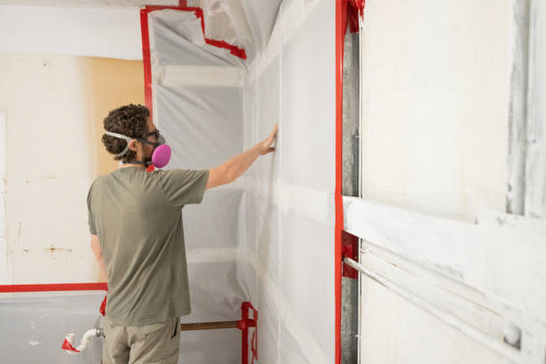 Best Industrial Mold Remediation  in Rice Lake, MN